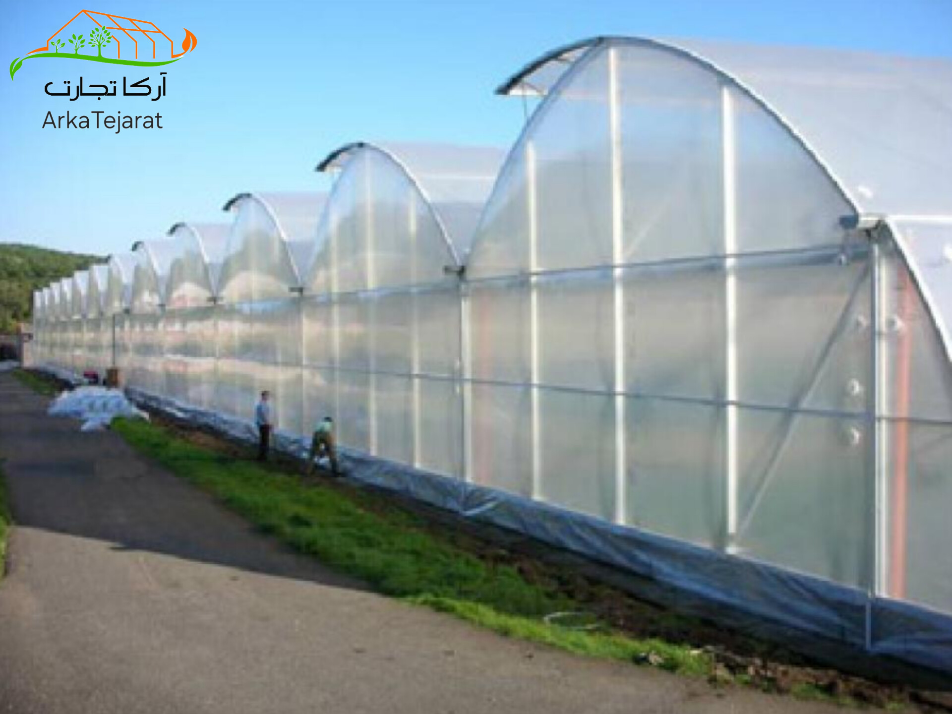 قیمت نایلون کشاورزی با عرض 14 و 10 درصد UV + خرید عمده