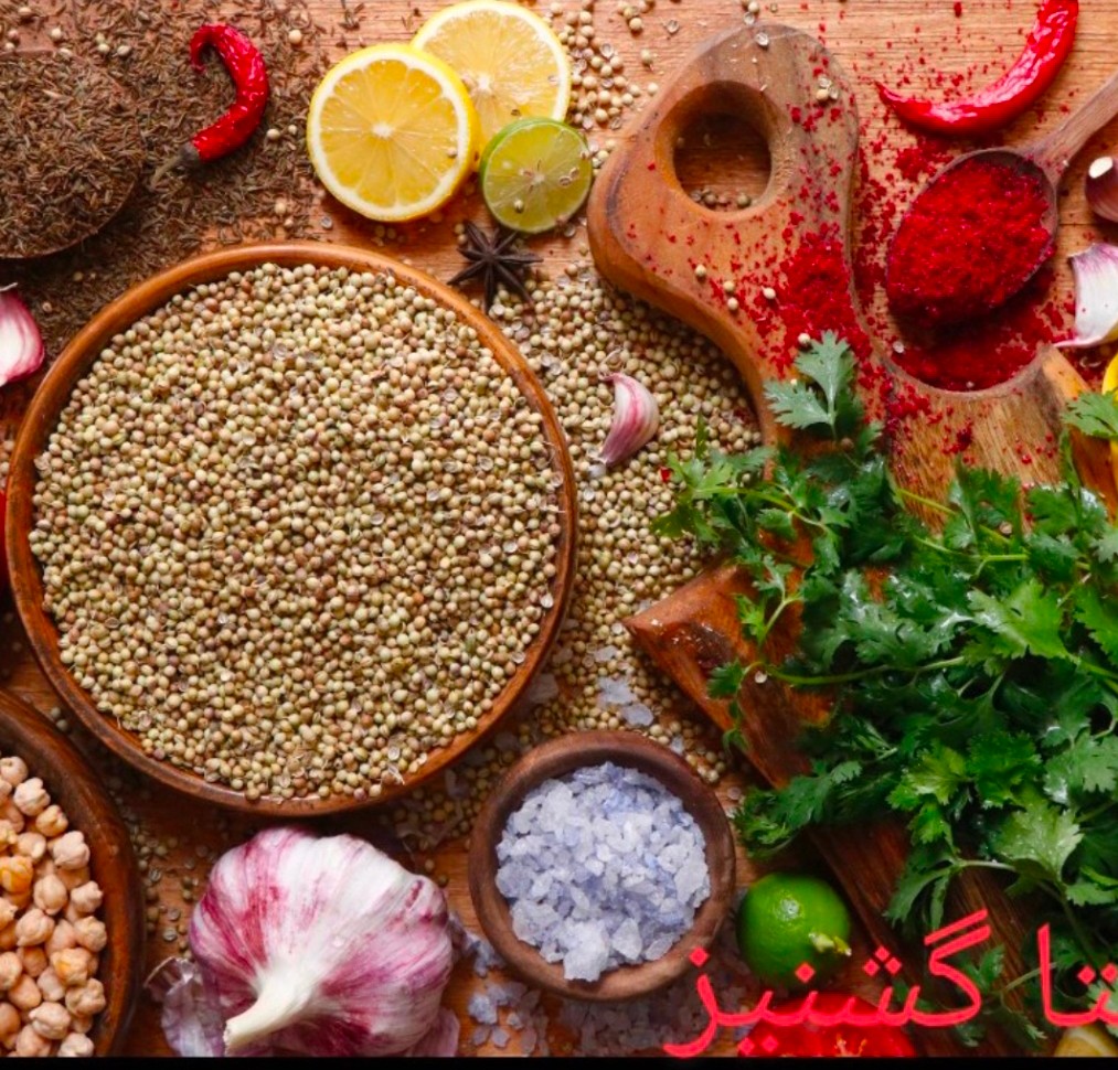 خرید عمده بذر گشنیز عمده در فرا منطقه ای