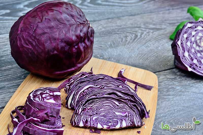 خرید کلم بنفش + قیمت شگفت انگیز