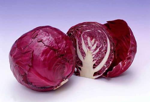 فروش مستقیم کلم برگ بنفش + قیمت مناسب