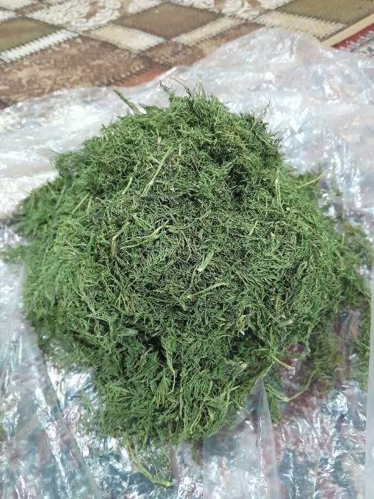 خرید عمده شوید خشک ارگانیک + ارسال به سراسر ایران