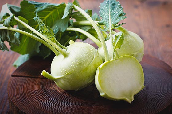 قیمت خرید کلم قمری + کیفیت عالی