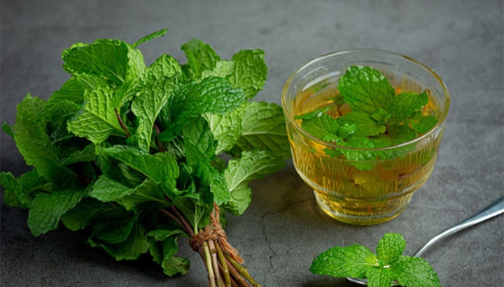 عرق نعنای دوآتشه معطر + قیمت استثنایی