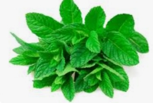 عرق نعنا سنگین + ارزان واستثنایی