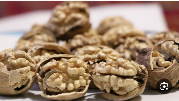 خرید عمده گردوی تویسرکان معرف به دانه درشت + فروش عمده خرده یرای تاجران