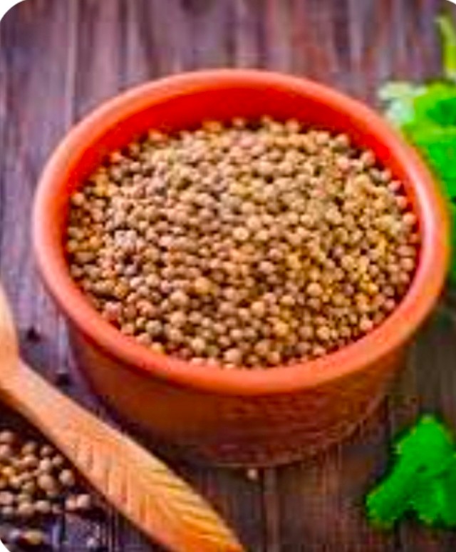 پیشنهاد ویژه فروش گشنیز گرید A به آناهیتا گشنیز