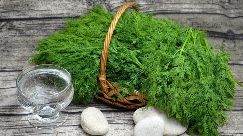 خرید شوید خشک برای بسته بندی بهداشتی صادراتی