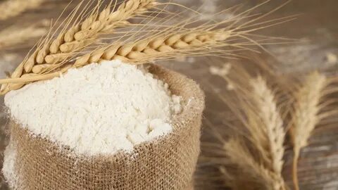 خرید گلوتن گندم خالص + فروش عمده
