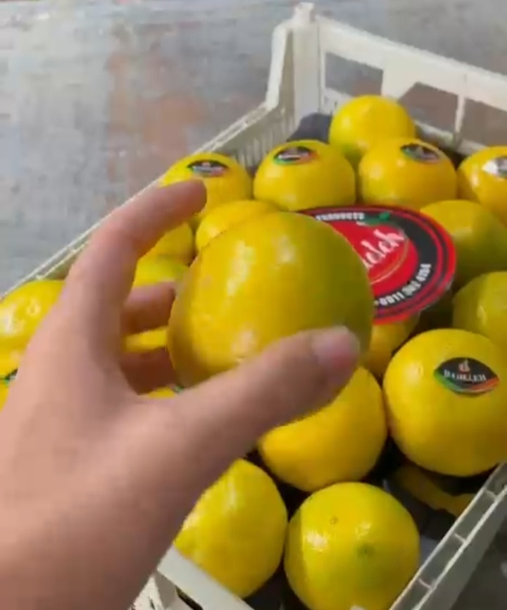 قیمت نارنگی ژاپنی شمال درجه یک با سورت صادراتی