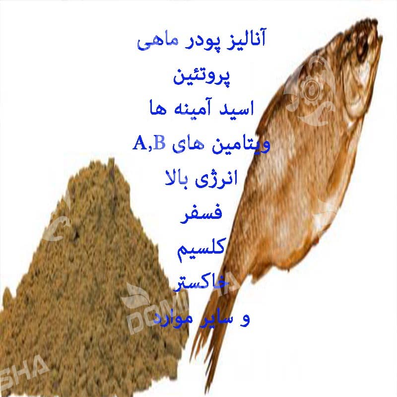 خرید به صرفه و ارزان پودر ماهی قشم