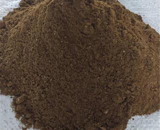 خرید پودر ماهی طیور به صرفه