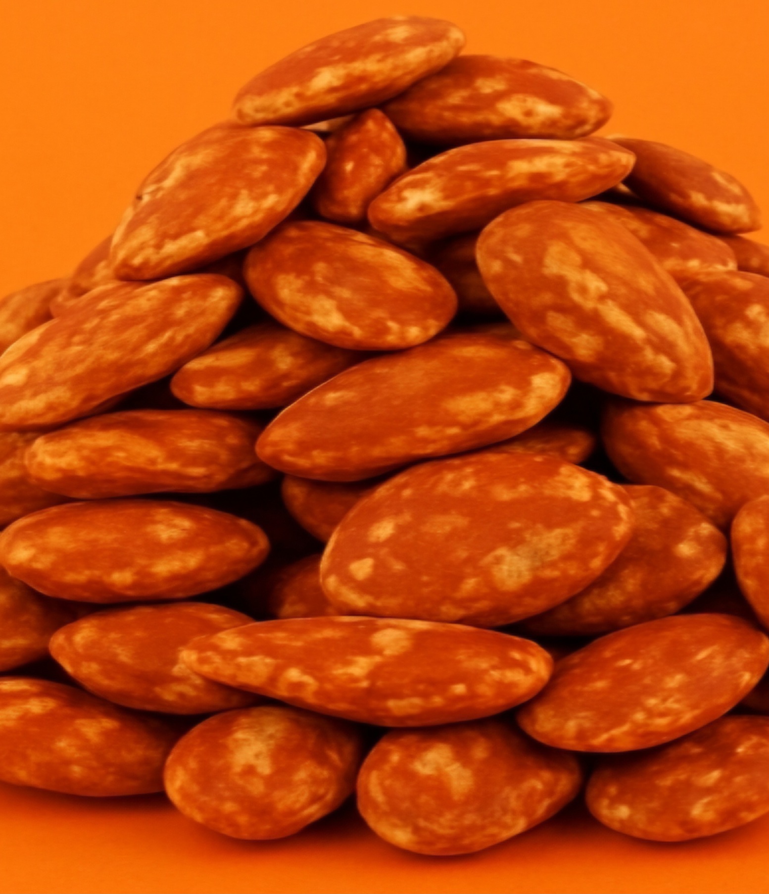 تخمه ژاپنی مرغوب + خرید