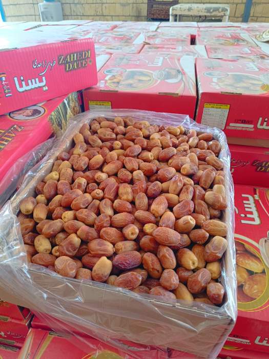 قیمت فروش انواع خرما زاهدی خشک بهترین کیفیت ایرانی داخلی صادراتی