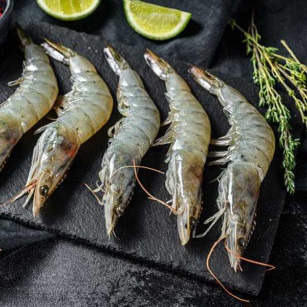 قیمت خرید شاه میگو صادراتی + فروش ویژه