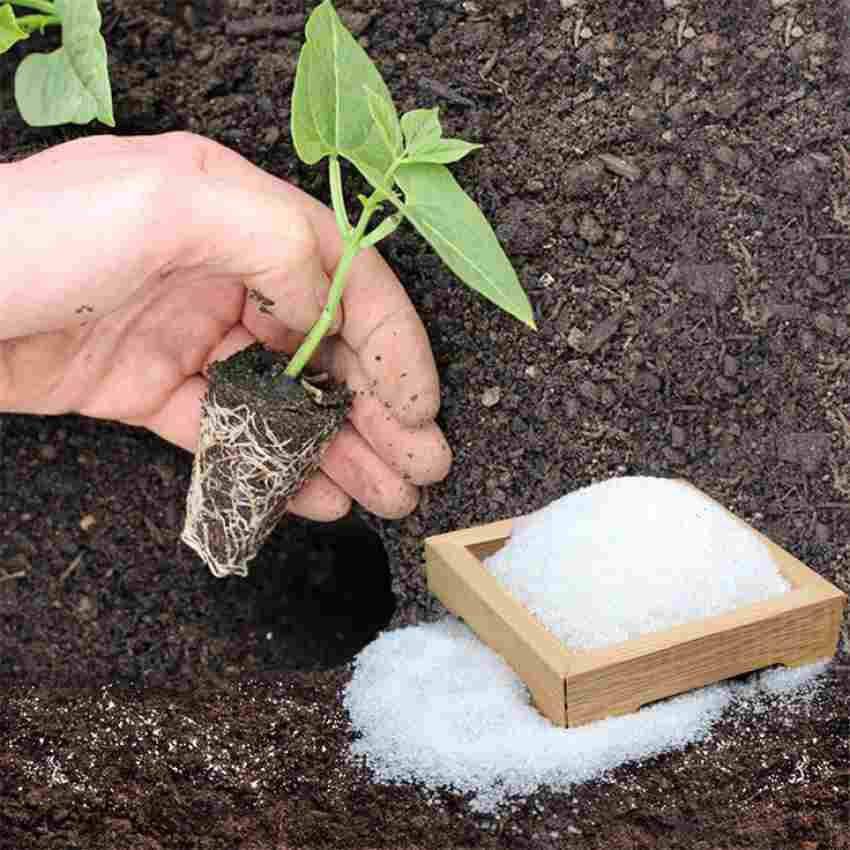فروش خاک ژله‌ ای کشاورزی؛ قدرت خاک سالم در دستان شما