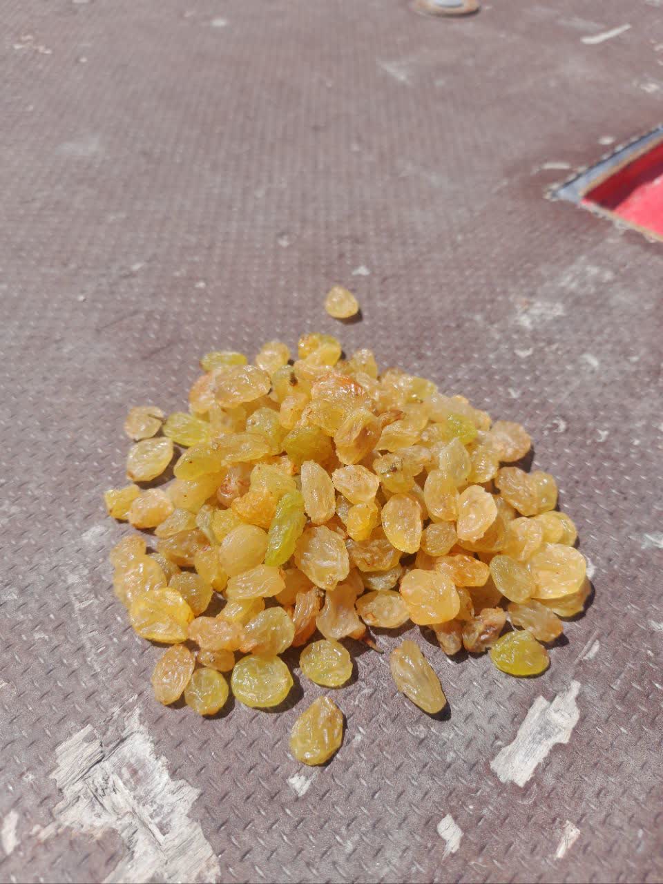 کشمش گلدن طلایی آذربایجان