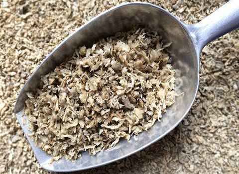 فروش تفاله خشک چغندر