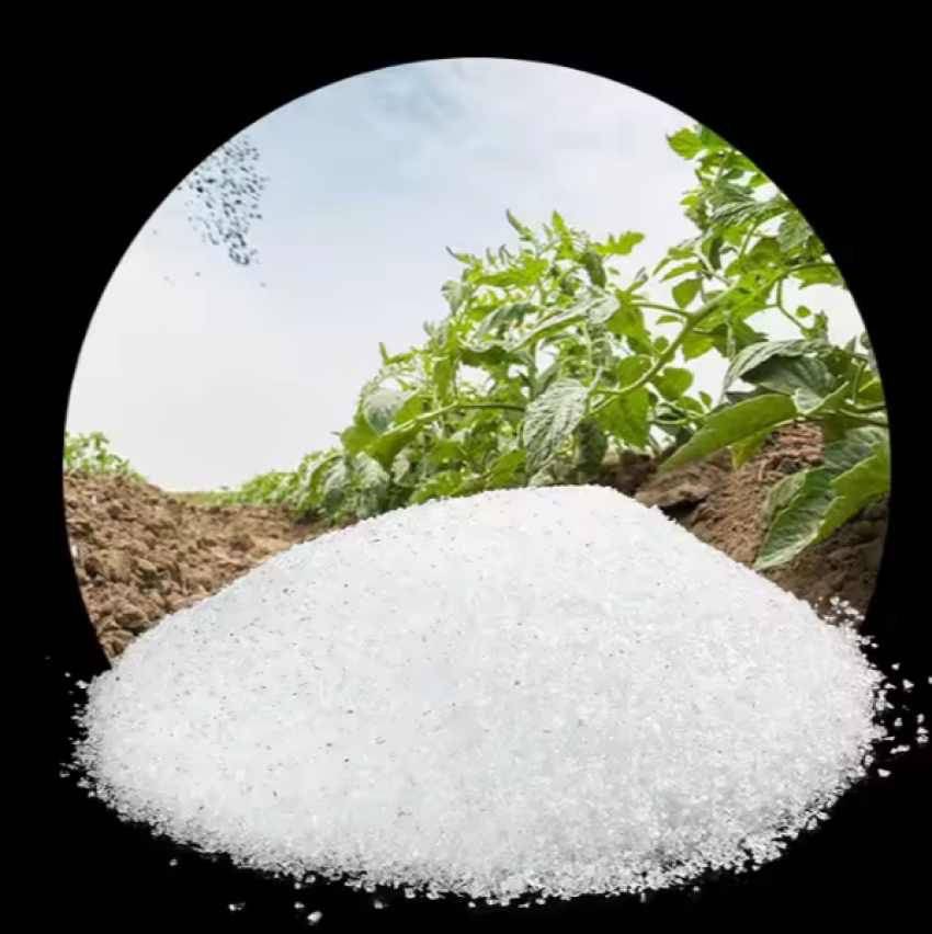 خرید عمده هیدروژل