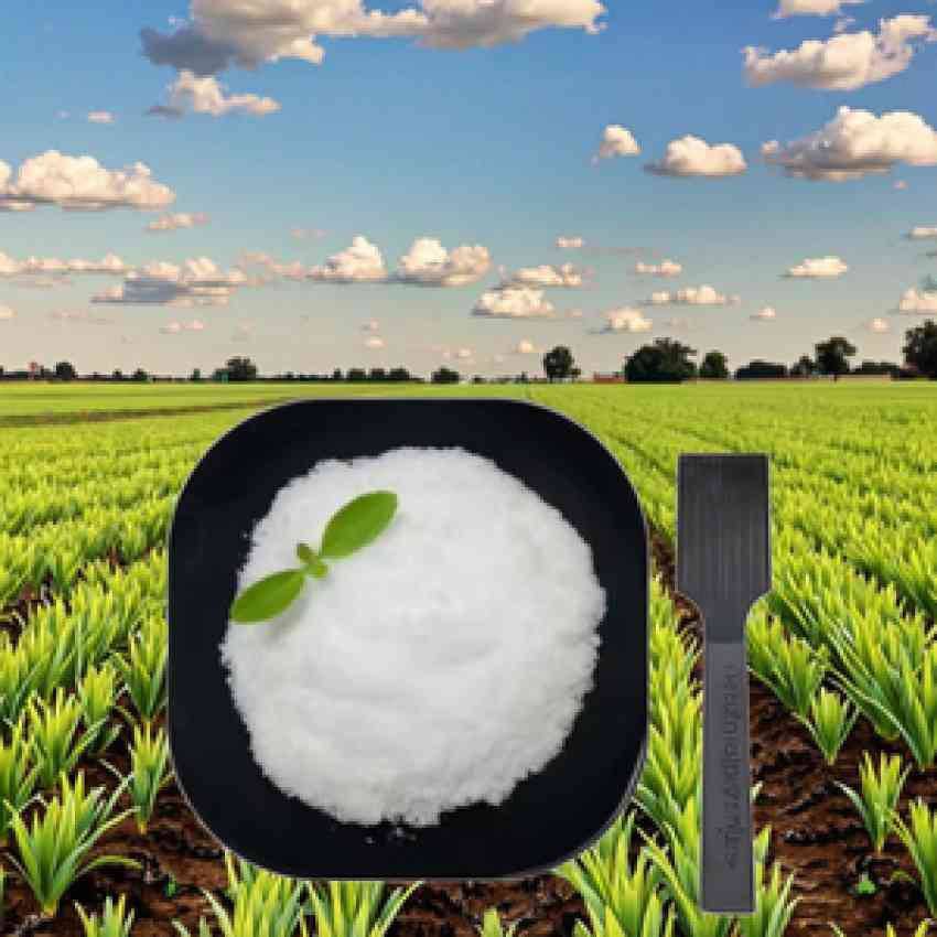 تصویر 2 از خرید عمده هیدروژل