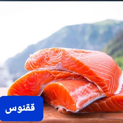 قیمت فروش انواع ماهی سالمون تازه و فرآوری شده