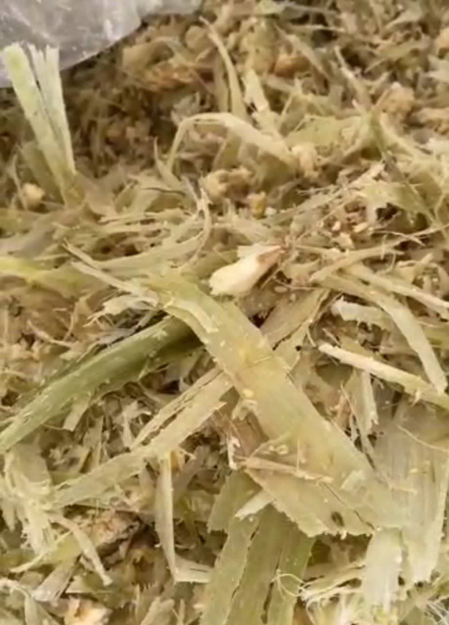 تفاله خوراک دام عمده