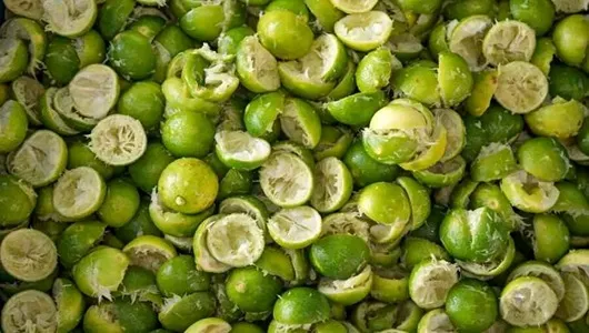 عرضه مستقیم تفاله لیمو