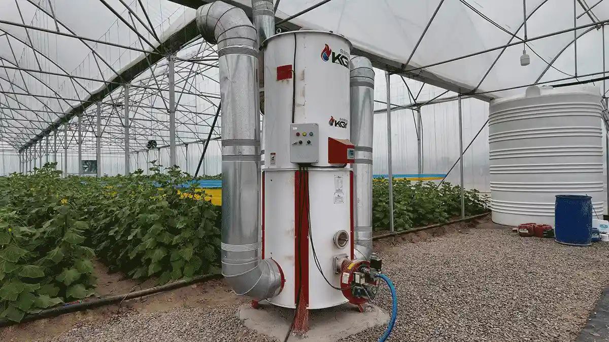 خرید بخاری گازی گلخانه ECO 250 با قیمت استثنایی