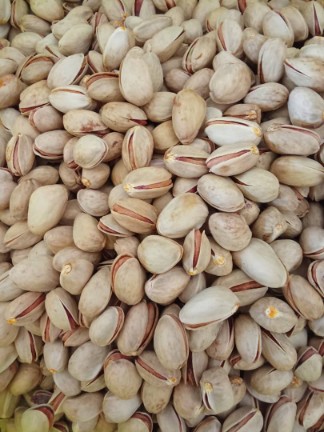 پسته عباسعلی + فروش ویژه