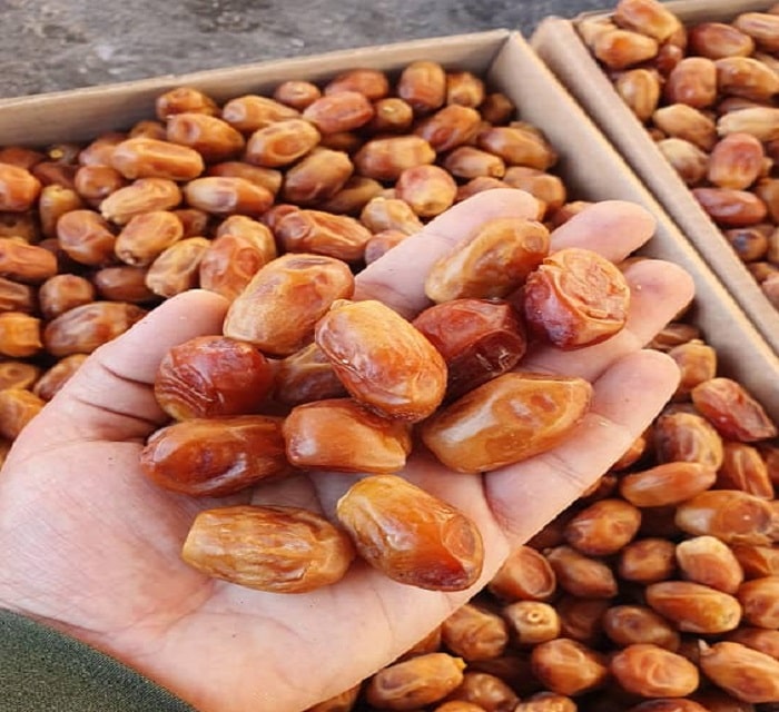 خرید خرما زاهدی با کیفیت درجه یک + فروش عمده