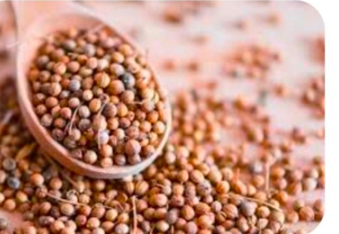 آناهیتا گشنیز آماده در تولید و تامین صادرات