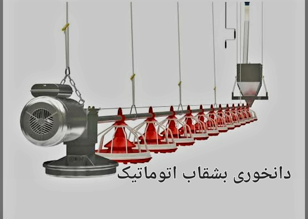 قیمت خرید اینترنتی دانخوری بشقاب اتوماتیک