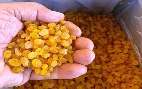 خرید امن کشمش گلدن + قیمت رقابتی