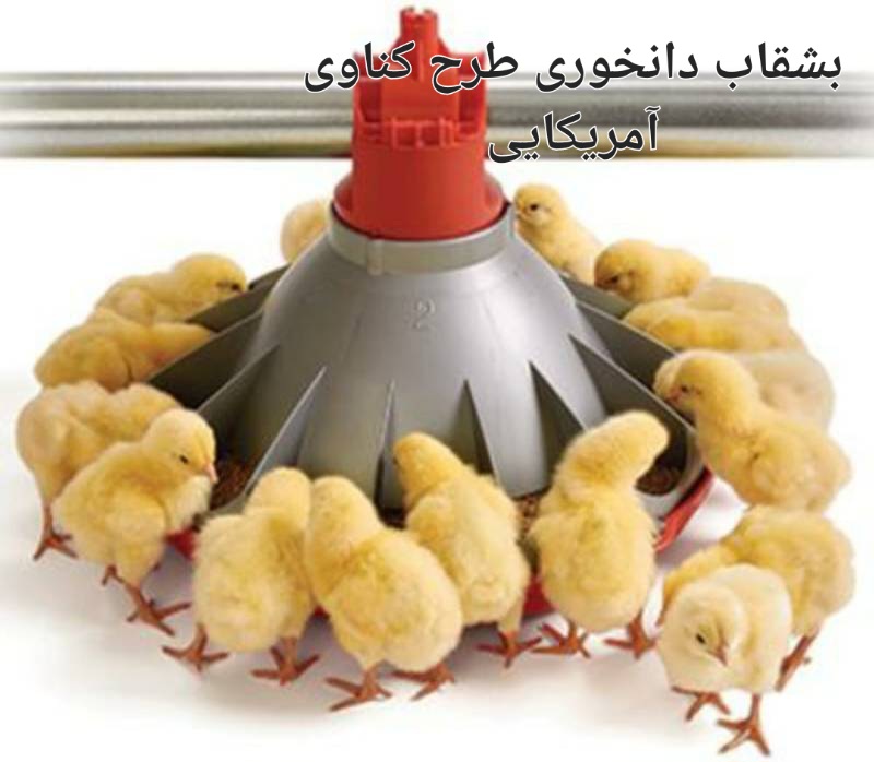 قیمت خرید اینترنتی بشقاب دانخوری طرح کناوی آمریکایی