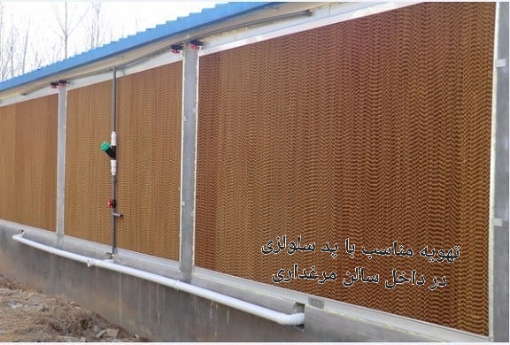 قیمت خرید اینترنتی تهویه مناسب با پد سلولزی در داخل سالن مرغداری