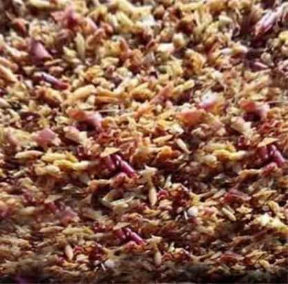 خرید تفاله سیب