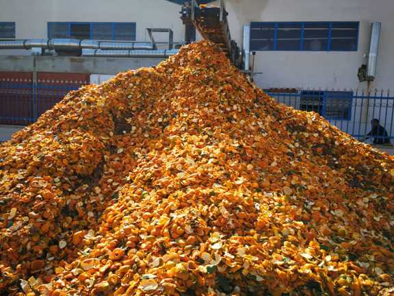 تفاله پرتقال ارزان