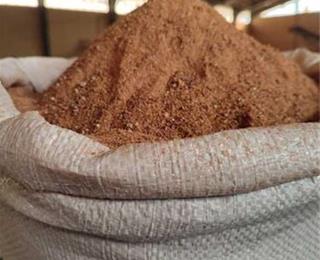 عرضه مستقیم تفاله خرما