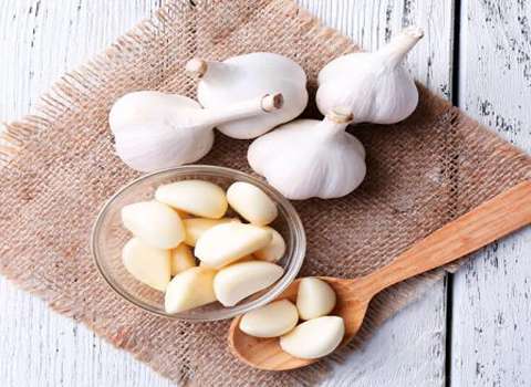 فروش عمده سیر منجمد همدان