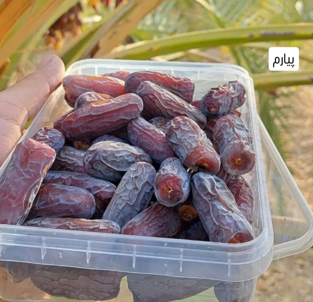 خرید خرمای پیارم جاجی آباد