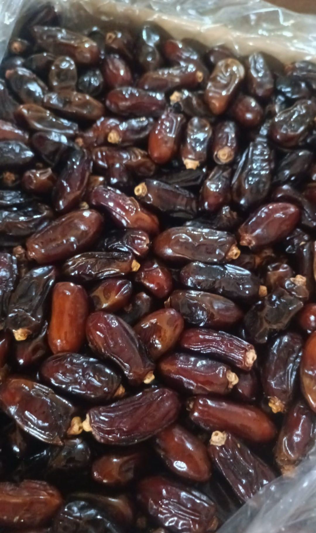 فروش عمده خرما ربی روغنی