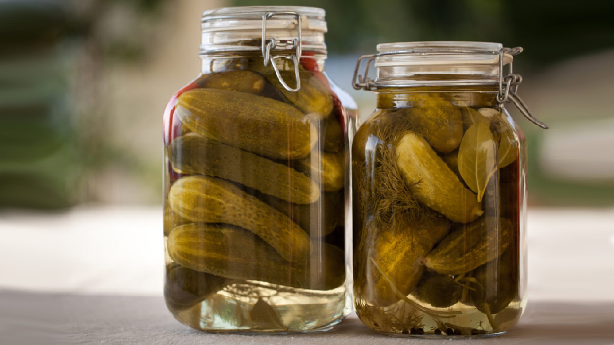 خرید خیار شور سرکه ای +قیمت عالی باکیفیت