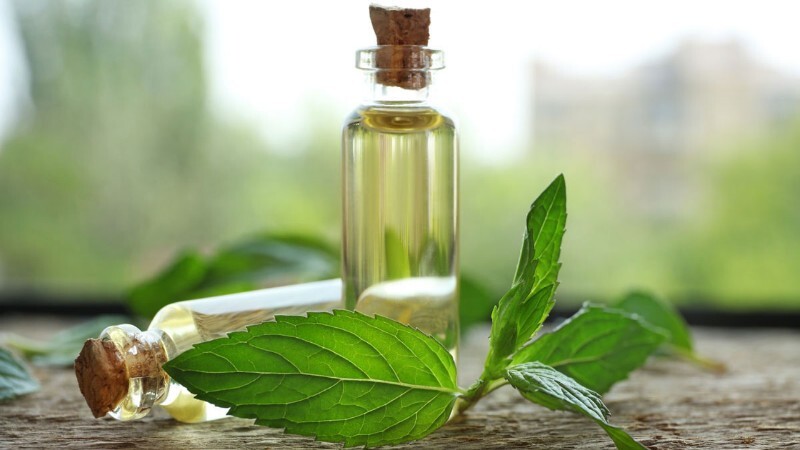 خرید عصاره خوراکی نعناع + قیمت رقابتی