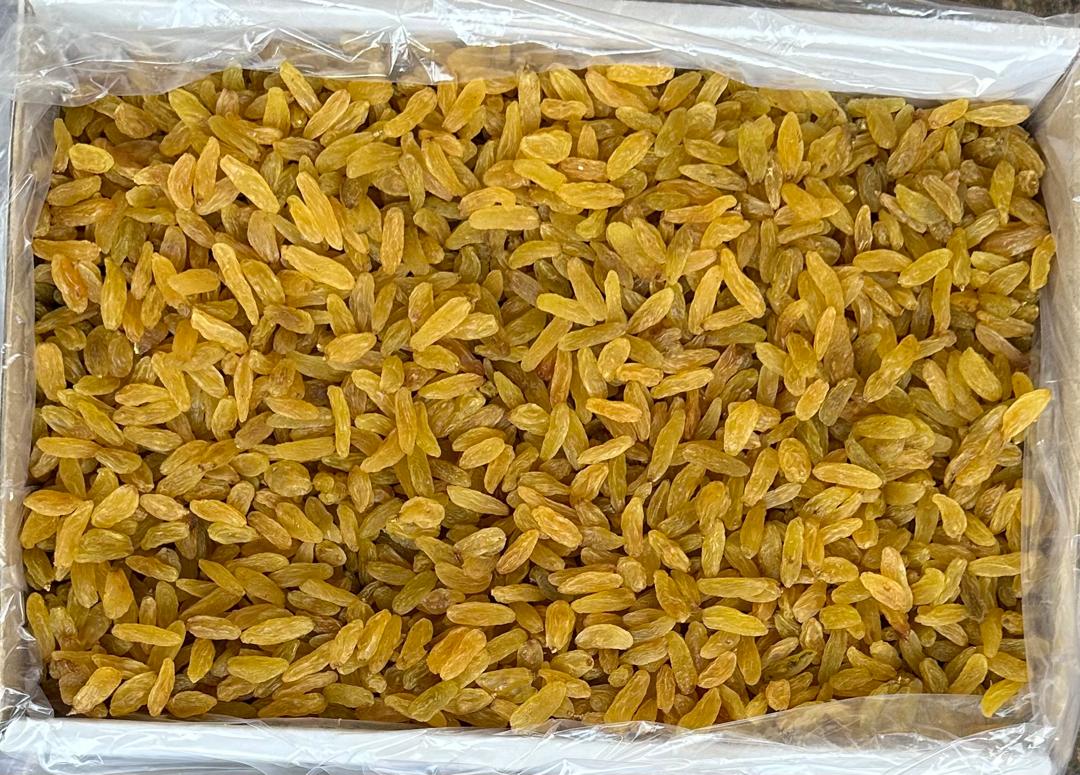 فله کشمش طلایی قلمی کاشمری فله + قیمت عمده