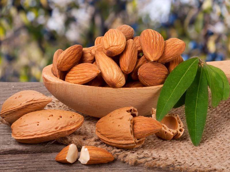 خرید عمده بادام درختی صادراتی + قیمت باور نکردنی