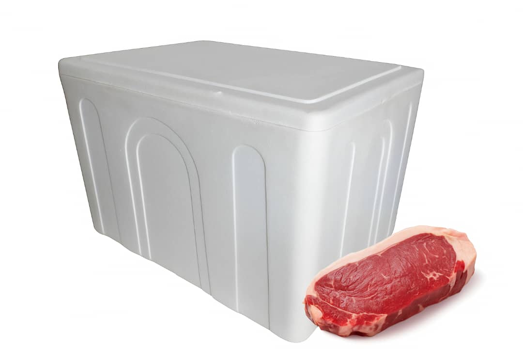 تصویر 1 از نگهداری از محصولات منجمد با یخدان های یونولیتی