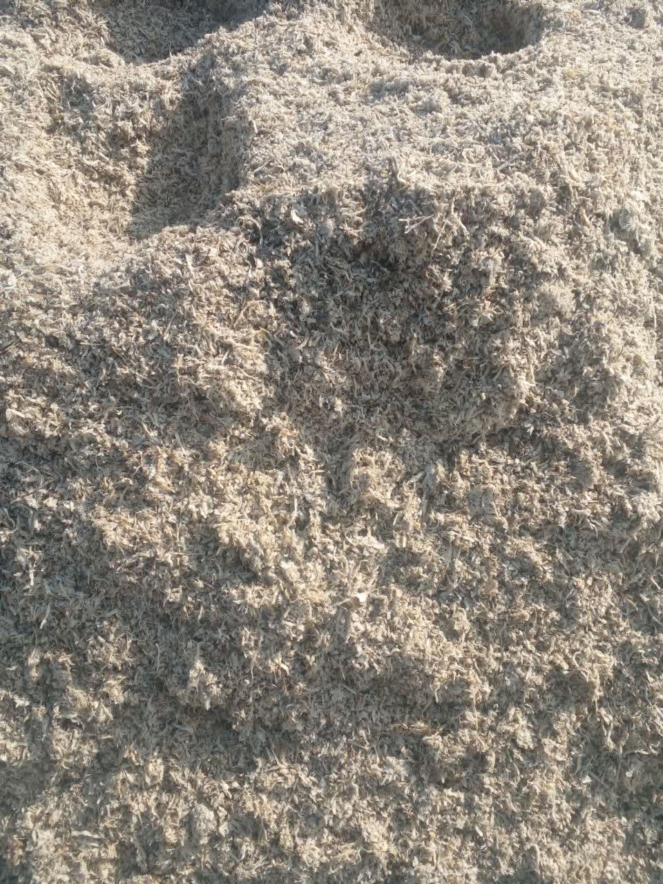 قیمت تفاله چغندر کرمانشاه