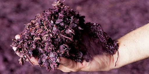 فروش تفاله انگور