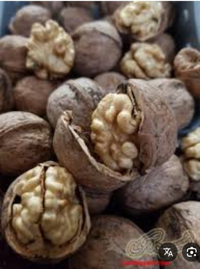 خرید عمده گردوی کاغذی اذرشهر + فروش عمده با شرایط مقرون به صرفه