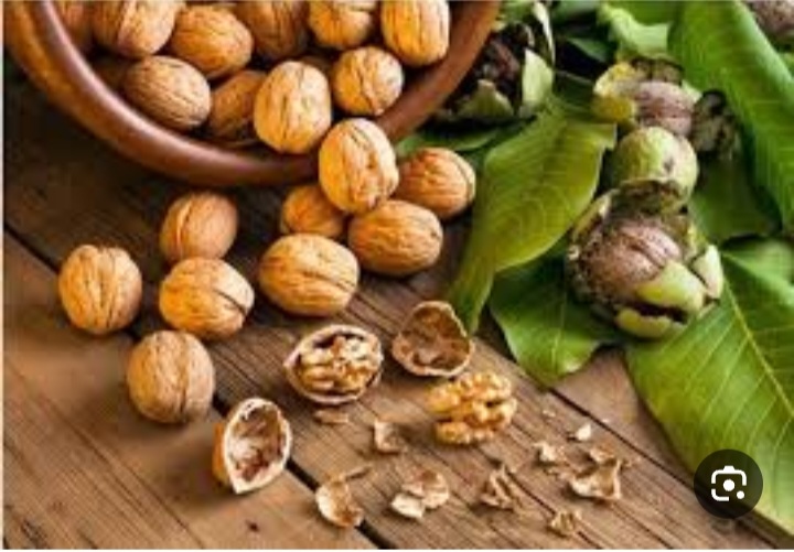 فروش عمده گردوی مرند + فروش عمده با شرایط سود طرفین