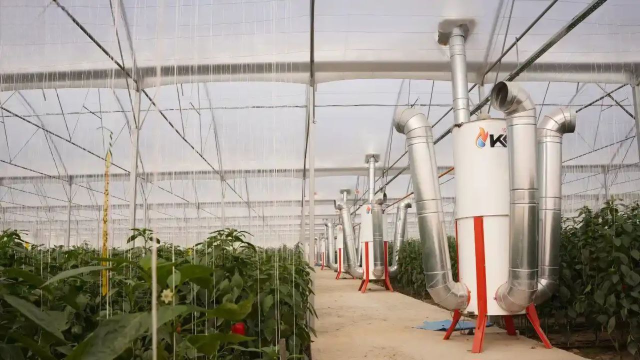 خرید سیستم گرمایشی گلخانه به قیمت عمده و کارخانه